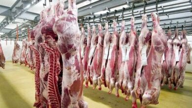 Imported meat marketed as local! - New Algeria