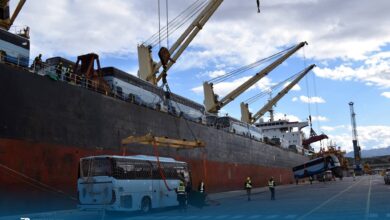 In pictures: Receiving the third shipment of 210 transport buses as part of the support of the National Transport Campus - New Algeria