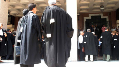 Launching a digital platform for lawyers - New Algeria