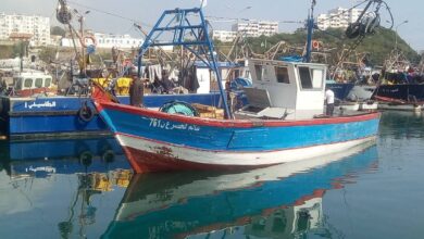 Marine fishing... creating a national fund to compensate seafarers - New Algeria