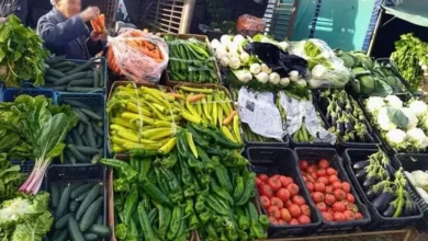 Ministerial decision: prohibiting the sale of vegetables and fruits with excess dust and branches - New Algeria