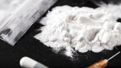 More than 9 kg of cocaine was seized in Oran - New Algeria