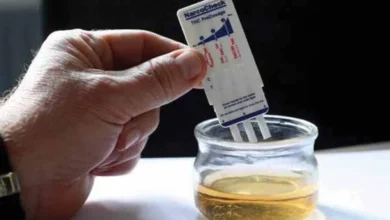 Officially...a positive drug test does not mean exclusion from employment - New Algeria