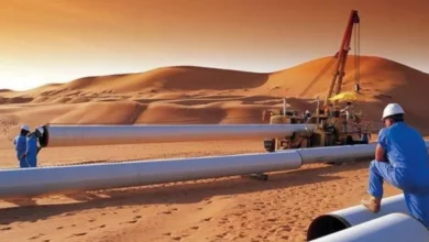President Tebboune: The trans-Saharan gas pipeline project will be launched after Ramadan - New Algeria