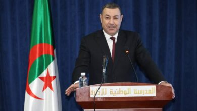 Saeed: Universalization of electronic services at the municipal level - New Algeria
