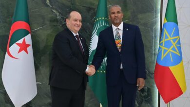 Seifi participates in the African Union Summit and the Africa-Italy Summit in Addis Ababa - New Algeria