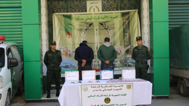 Specific army operations in combating organized crime