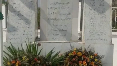 The Battle of Sabbaghniyeh...an immortal student epic in the Liberation Revolution - Algerian Al-Hiwar newspaper