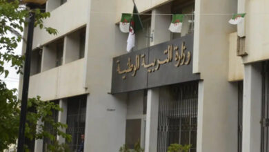 The Ministry of Education launches digital guidance and redirection processes