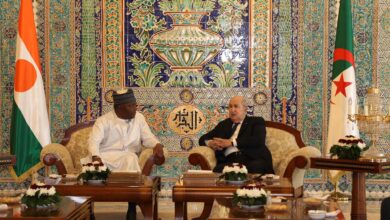 The President of the Republic holds bilateral talks with his Nigerian counterpart - New Algeria
