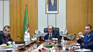 The Prime Minister chairs a meeting to follow up on the progress of the Annaba port expansion and mining quay - Algerian Al-Hiwar newspaper