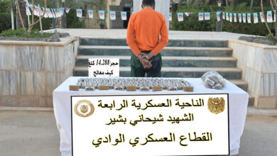 The army achieves qualitative results in uprooting the remnants of terrorism