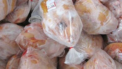 The beginning of launching frozen chicken in the Algerian market at an attractive price - Al-Hiwar Algerian newspaper