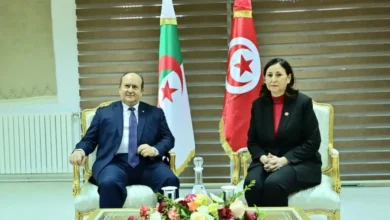 The memory of Sakia Sidi Youssef.. Gharib holds bilateral talks with his Tunisian counterpart - New Algeria