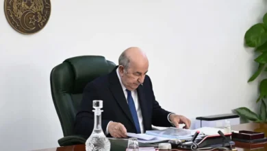 The most important outcomes of the Council of Ministers meeting - New Algeria