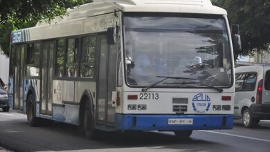 This is the date for the opening of a new line linking the Al-Shabshab neighborhood to Al-Raghaya station - New Algeria