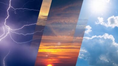 This is today's weather in these states - New Algeria