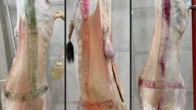 This meat is prohibited from marketing - New Algeria