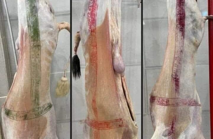 This meat is prohibited from marketing - New Algeria