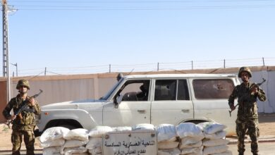 Toll of the National Army - New Algeria