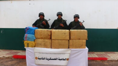 Toll of the People's National Army - New Algeria