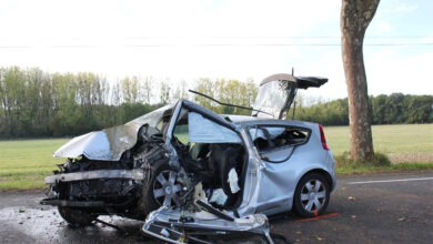 Traffic accidents claim 26 deaths and 1,194 injuries in a week