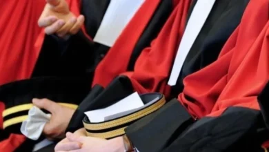 Training judges in human rights, real estate disputes, and combating the financing of terrorism - Algerian Al-Hiwar newspaper