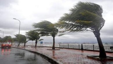 Winds return to these states - New Algeria