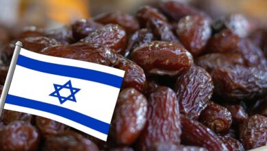 Zionist dates under the name “Made in Algeria” in France - New Algeria