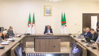 A ministerial meeting to follow up on the Laghouat-Ghardaia-Mneaa-New Algeria railway project