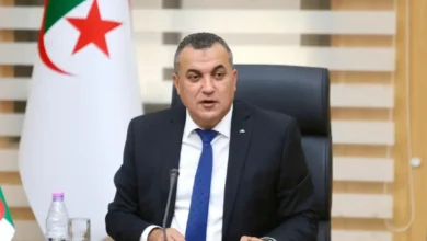 Adopting a strategy to enhance Algeria's presence in the international connectivity and communication network - the new Algeria