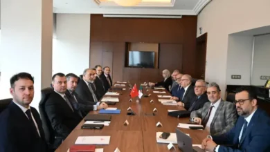 Algeria and Turkey discuss developments in the situation in the Middle East - New Algeria