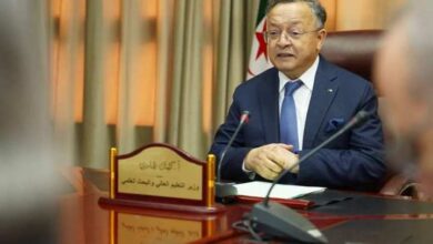 Badari discusses the pedagogical and social concerns of sector workers - New Algeria