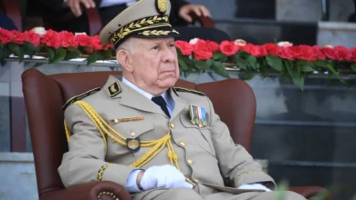 Chengriha congratulates Algerian women and employees of the National Army on the occasion of their International Day - Algerian Al-Hiwar newspaper