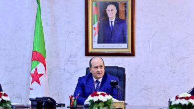 Gharib chairs a meeting to contain the spread of locusts - New Algeria