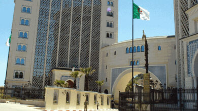 Initiating cooperation between Algeria and Niger in the field of energy - New Algeria