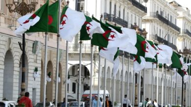 Involving youth in decision-making is a national bet for the Algerian state
