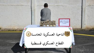Ministry of Defence.. 29 drug dealers arrested and 4 quintals of Kif seized - New Algeria