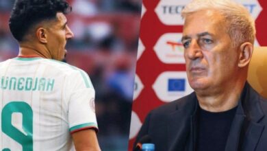 Petkovic: Deporting Baghdad Bounedjah is a technical matter - New Algeria