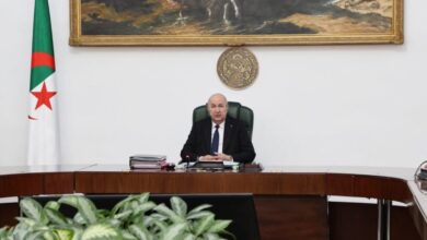 President Tebboune’s decisions are important and are in the interest of the citizen