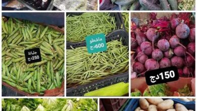 Prices of vegetables and fruits...a gradual increase coinciding with the approaching Eid al-Fitr - New Algeria
