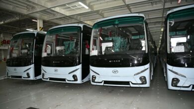 Receiving 568 new buses at the port of Algiers - New Algeria