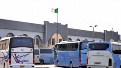 Sogral increases the number of its flights between the states in anticipation of Eid al-Fitr - New Algeria