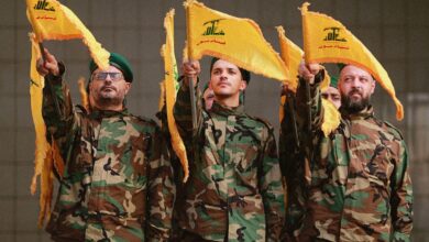 The Lebanese government prohibits Hezbollah's military activity