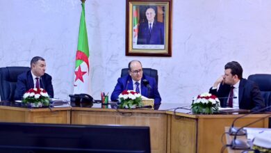 The Prime Minister evaluates the readiness of the locust containment plan in the southwest - Algerian Al-Hiwar newspaper