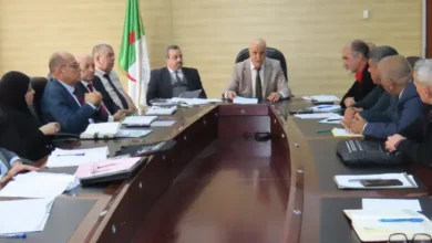 The Secretary-General of the Ministry of Health meets with representatives of the National Council for Health Sector Employees - Algerian Al-Hiwar newspaper