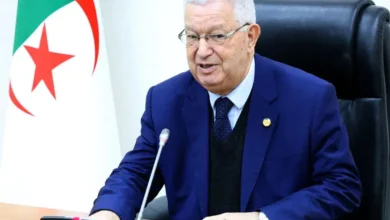 The Speaker of the National Assembly congratulates Algerian women on their International Day - Algerian Al-Hiwar newspaper