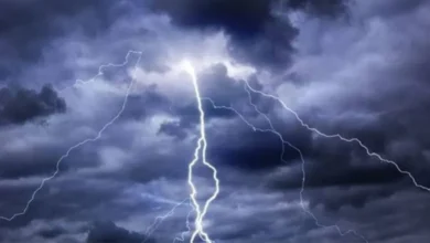 Thunderstorms and sandstorms over these states - New Algeria