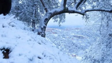 Weather condition: heavy snow in 16 states on Sunday and Monday - New Algeria