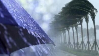 Weather conditions change starting Wednesday - New Algeria